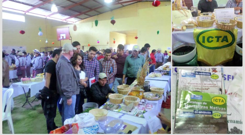 ICTA participó en la I Feria de semillas y agrobiodiversidad en Huehuetenango
